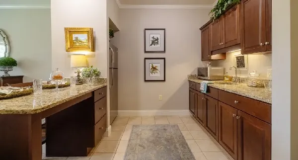 Wellmore of Lexington | Columbia SC | Apartment Kitchen 2024-11