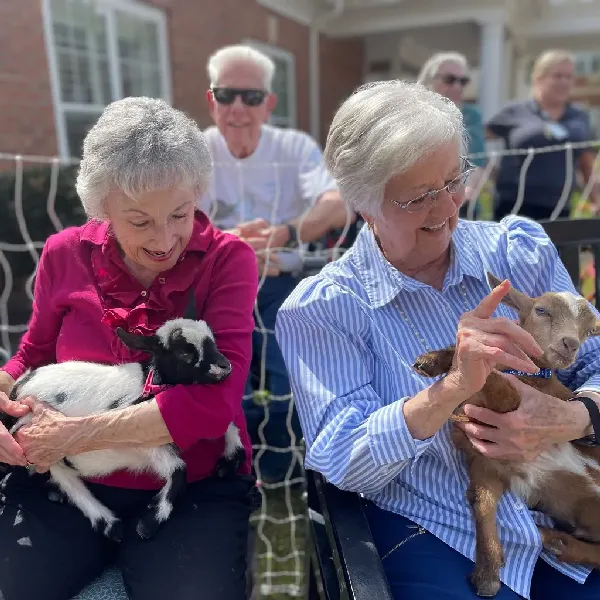 Wellmore of Lexington | Columbia SC | Wellness 6 1x1