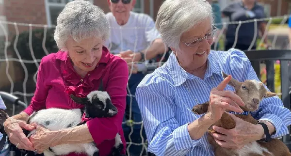 Wellmore of Lexington | Columbia SC | Wellness 6 thumb